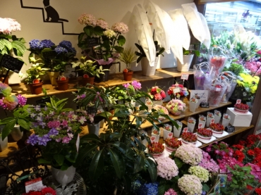 「花源」　（千葉県船橋市）の花屋店舗写真2